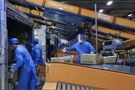 外商守“沪”｜上海进出口不断链：外资物流“逆行”，海陆空全面恢复中图片