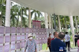 深圳中老年征婚者：有人希望对象生育，有人明言拒当免费保姆图片