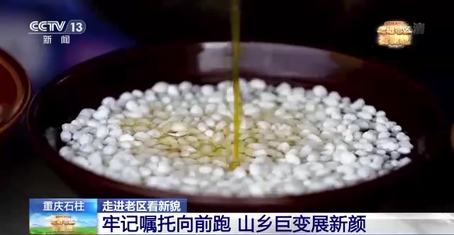 郑州市国际工程机械展