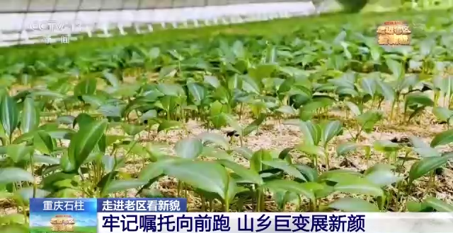 郑州市国际工程机械展