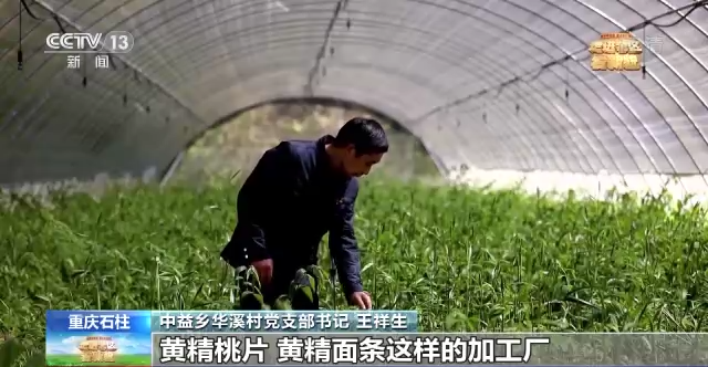 郑州市国际工程机械展