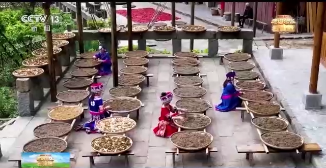 郑州市国际工程机械展