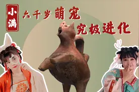 小满一杯 看六千年“萌宠”终极进化，《文宝要出道》短视频首发图片