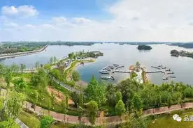 解锁新“CP”，成都东部新区&彭州市，区域合作敲定图片