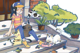 投喂流浪猫：填饱它的胃还是填满你的心？丨心理杂货铺图片