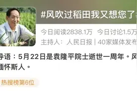 半岛聚焦丨“稻”念，刷屏！袁隆平逝世一周年，他的两个“梦”和一个心愿，如今怎样了图片