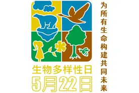 国际生物多样性日｜与万物之生一起向未来图片