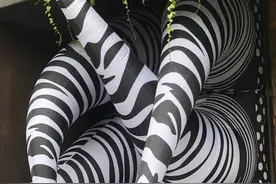 奇幻花朵、荆棘沙发、斑马闯入侏罗纪……成都这场装置艺术展超好看图片