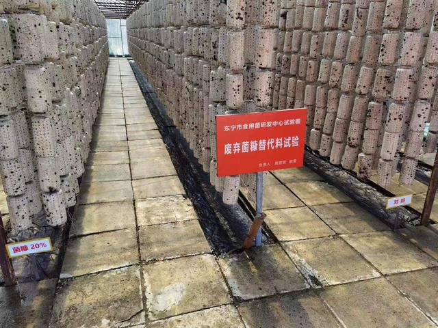 数说龙江好味道｜“天下第一耳”何以享誉全球？