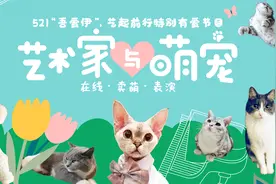 可能是最治愈的一场线上演出，小猫小狗陪艺术家弹琴练功图片