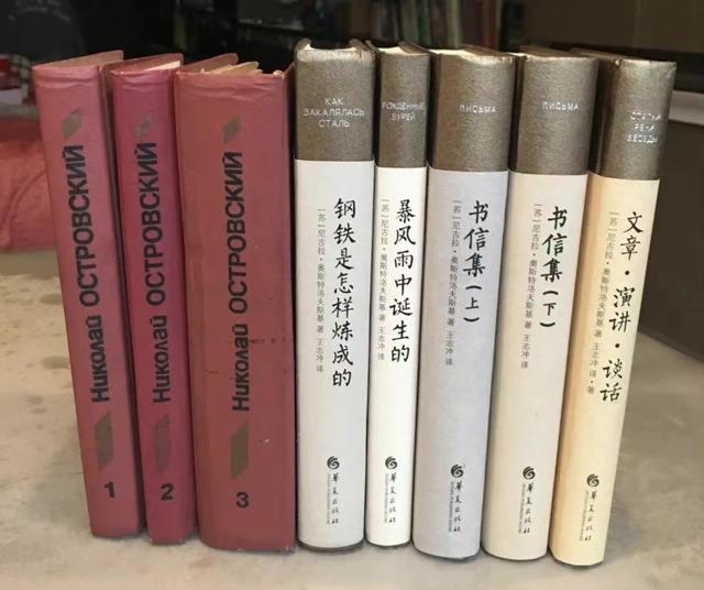 上海翻译家王志冲去世，他用自强一生证明《钢铁是怎样炼成的》