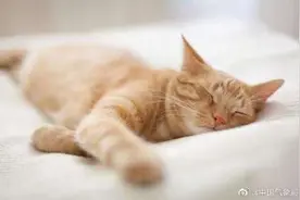 气候变化减少人们睡眠时间图片