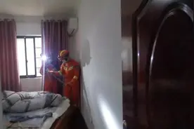 头皮发麻！长沙男子被窝惊现剧毒银环蛇，1米多长图片