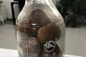 受污染的泥巴烧一烧又可再利用，江大创新团队为湖泊治理开出新“处方”图片