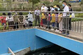 太神奇了，污水竟然是这样处理的图片