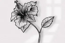 「艺起前行」灿若夏花，美若舜华！“艺”起来学花卉白描写生｜云艺培图片