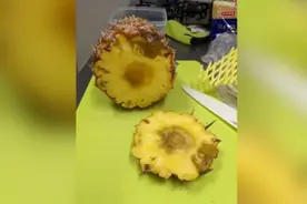 台湾地区外销日本的凤梨质量不佳：底部发霉 切开是黑心（图）图片