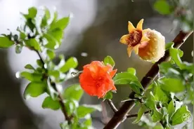 云南已进入雨季！专家回应：今年为何雨水多、气温低？图片