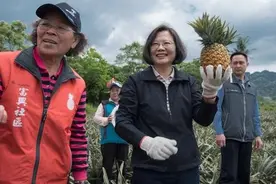 黑凤梨？台湾外销日本凤梨被批品质低劣 网友直言“民进党快去告日本政府”图片