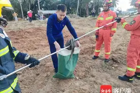 遇到蛇要怎么办？海南消防员总结“防蛇攻略”，请收好图片