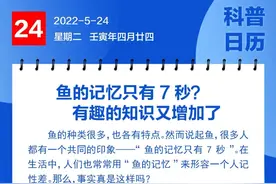 钦州科普日历丨鱼的记忆只有7秒？有趣的知识又增加了图片