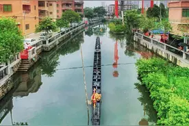 看！590岁的老龙重出江湖！图片