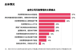 金控公司风险管理有何痛点与挑战？央企金控、地方金控、互联网金控各有不同图片