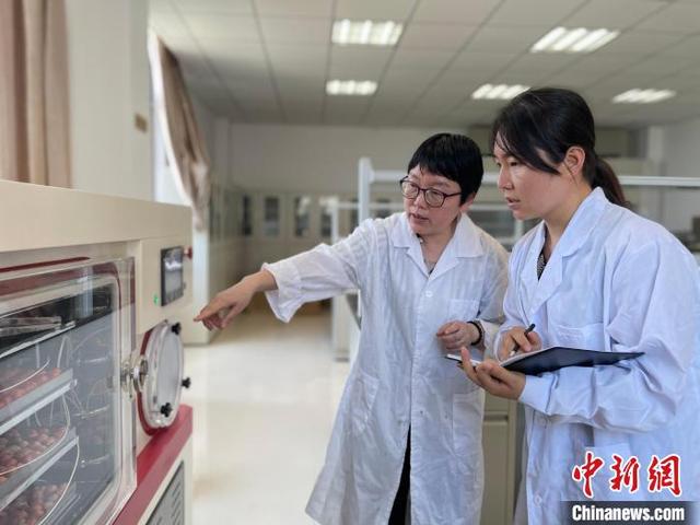 「十年@每一个奋斗的你」“蔬”写乡村振兴“科技特派员”守好“菜篮子”