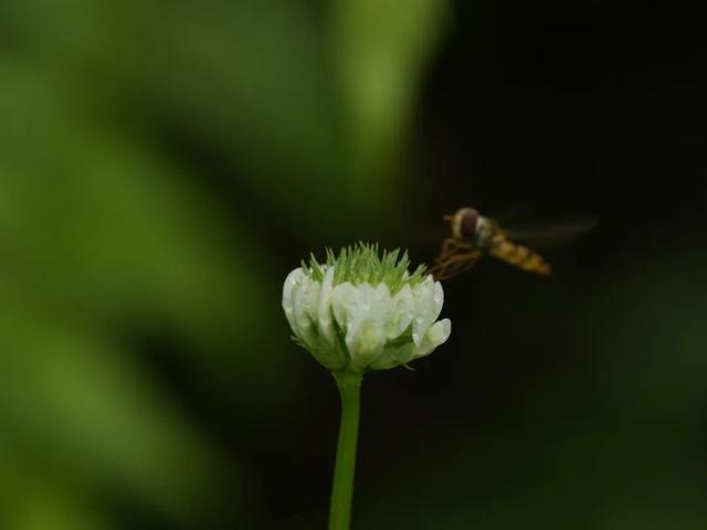 夏天泡温泉发朋友圈简单的句子 夏天泡温泉