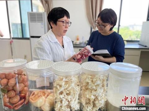 “蔬”写乡村振兴“科技特派员”守好“菜篮子”