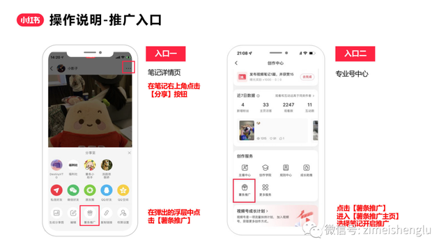 С����������İ�֮�ʣ�����ȫ����������Ӫ������