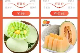 拼多多百亿补贴三周年覆盖农产品近4万款“实惠好农货”成消费主流图片