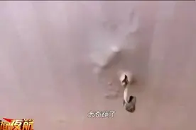 自家墙面惊现蘑菇，业主：够炒一盘图片