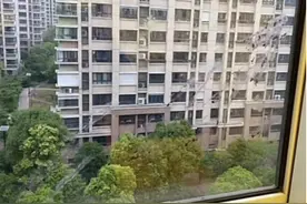 扬州一住户家持续遭乌鸫排粪攻击，野生动物保护站：该鸟记仇图片