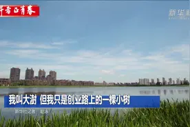 奋斗者·正青春丨我叫大澍，但我只是创业路上的一棵小树视频封面