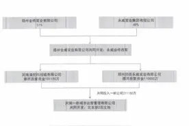 河南知名房企“内斗”，预售资金离奇“消失”图片