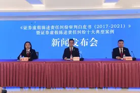 十大典型案例出炉！深圳中院发布《证券虚假陈述责任纠纷审判白皮书（2017-2021）》图片