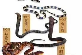 蛇出没！快收下这份中山防蛇宝典图片