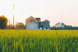 以案说法 | 能否以农宅审批为由修改“三调”成果？图片