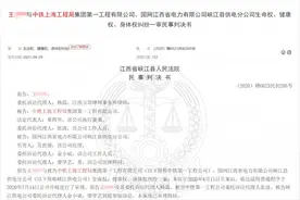 男子爬电线杆被高压电打残 他辩称登高望远找业主赔182万元图片