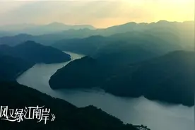 《春风又绿江南岸》被赞“敢拍”，真实的基层奋斗群像引发共鸣图片