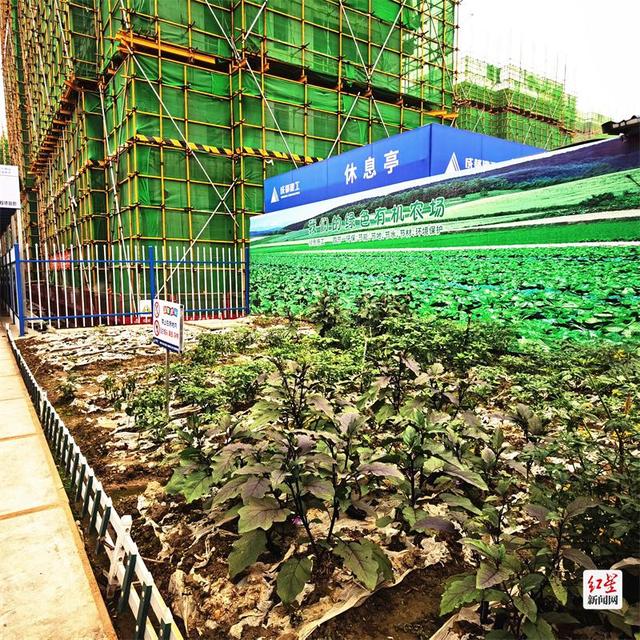在成都TOD 看到一座城市的幸福模样