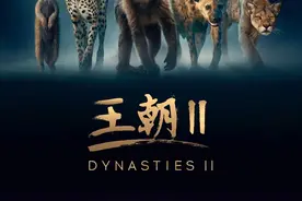 《王朝II》来了，要给斑鬣狗翻案？图片