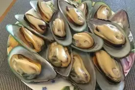 广东人，近期需慎食青口等贝类图片