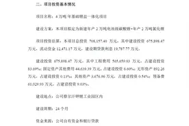母公司亲自下场，盐湖股份拟投70.82亿建锂盐扩产项目，另一概念股却闪崩 真相究竟是什么？图片
