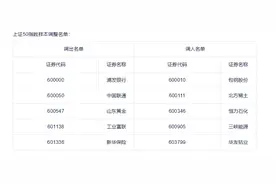 沪深300指数半年定期调整方案来了！多达6家券商被同时调出指数图片