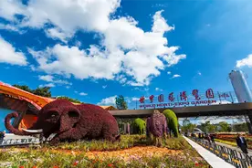 好消息！昆明世博园旅游区免费开放图片