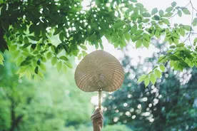 夏日炎炎，学做几款养生保健粥，清凉解暑，养心除烦图片