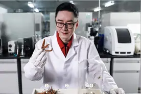 太上老君托梦，“虫草第一股”转战白酒图片