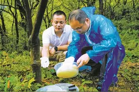 如何守护23万公顷“地球之肾”图片